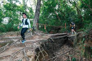 BIB: 
                            <button type="button" onclick="openModal(27722636)" class="btn btn-primary btn-sm float-right btn-popup" data-toggle="modal" data-target=".modal-high-quality">
                        <i class="fas fa-shopping-cart"></i> Add to Cart
                    </button>
                                            <button type="button" onclick="isThisMe(27722636, true)" class="btn btn-success btn-sm float-right btn-popup btn-isme hidden" data-toggle="tooltip" data-placement="bottom" title="นี่คือรูปของคุณใช่ไหม คลิกที่นี่เพื่อเอาเข้าอัลบั้ม">
                        <i class="fas fa-plus"></i> Add to album
                    </button>
                    <button type="button" onclick="isThisMe(27722636, false)" class="btn btn-warning btn-sm float-right btn-popup btn-isnotme hidden">
                        <i class="fas fa-ban"></i> Remove from album
                    </button>